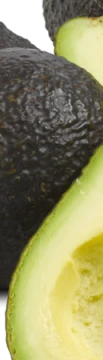 Avokado